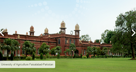 University of Agriculture Faisalabad